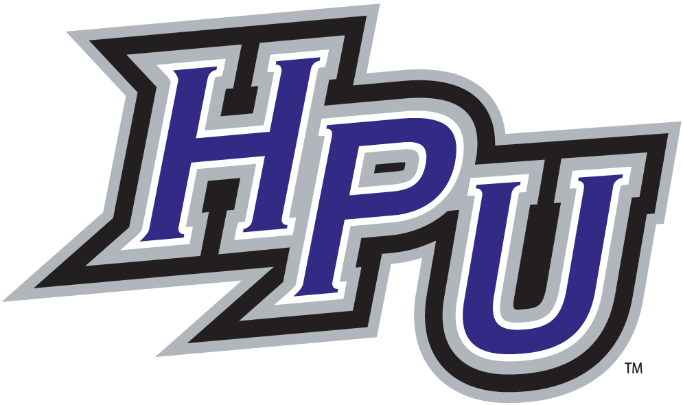High Point Panthers 2004-Pres Alternate Logo v2 iron on transfers for clothing